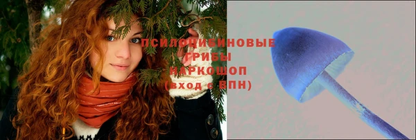 амф Заводоуковск