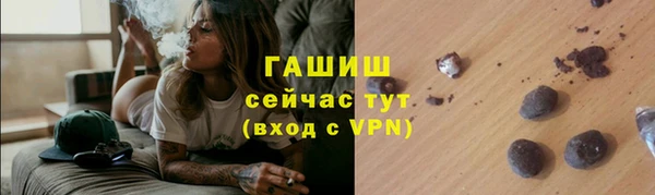 спиды Болотное